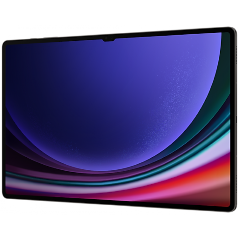 Samsung Galaxy Tab S9 Ultra LTE 16/1024Gb Graphite
