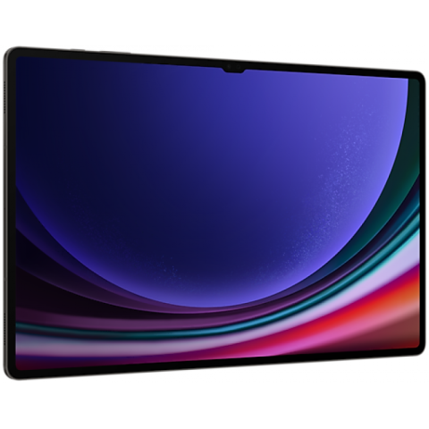 Samsung Galaxy Tab S9 Ultra LTE 16/1024Gb Graphite